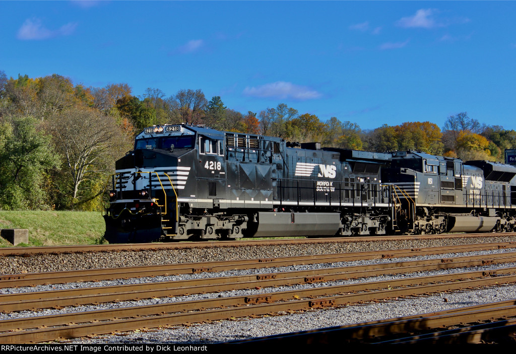 NS 4218